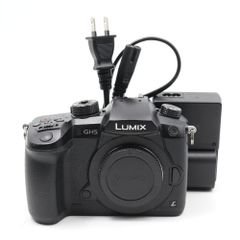 【美品】パナソニック ミラーレス一眼カメラ ルミックス GH5 ボディ ブラック DC-GH5-K