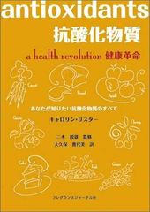 ピート・モンドリアン 1872-1944 虚空の楼閣（日本語版