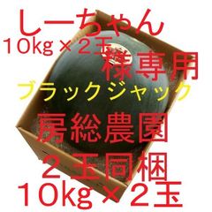 ２玉同梱・１０㎏×２・しーちゃん様専用・ブラックジャック