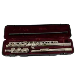 2025年最新】フルート ケース ムラマツの人気アイテム - メルカリ