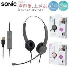 ヘッドホン ヘッドセット 有線 USB接続 両耳 音量調整 ミュート マイクアーム付