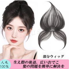 人毛100%ポイントウィッグ、総手植え、生え際を整えるポイントウィッグ