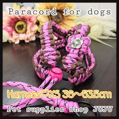 Item thumbnail for item 81341fcf-a8ce-4cd8-8d35-e124eb4e4ac6