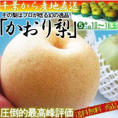 【予約:8/30～9/25予定】かおり梨 約5kg 10～16玉 中玉サイズ 秀品～優品 千葉県産 贈答可能 生産量の少ない幻の梨！爽やかな甘い香りと優秀な味わい