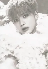 TXT The Chaos Chapter:FREEZE TAEHYUN ポストカード WORLD