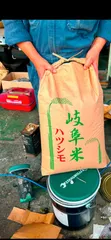 2025年最新】ハツシモ 玄米の人気アイテム - メルカリ