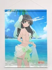 2025年最新】佐天涙子 タペストリーの人気アイテム - メルカリ