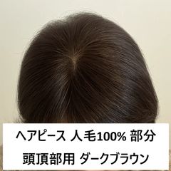 人毛100 ヘアピース【シルクスキン】ブラウン　ポイントウィッグ　トップピース 人毛100 ヘアピース【シルクスキン】ブラウン ポイントウィッグ トップ