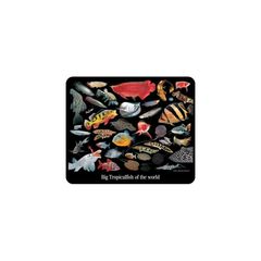 大型熱帯魚のマウスパッド 2：フォトパッド（ 世界の熱帯魚シリーズ ）