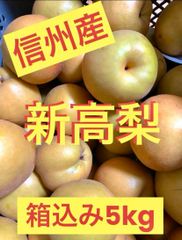 長野県産 信州産 梨 新高梨 なし 家庭用 5kg 規格外 訳あり