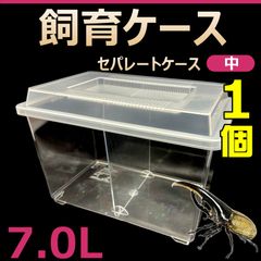 飼育ケース　セパレートケース　中　7.0L　新品　1個　カブトムシ・クワガタ 成虫飼育に最適　コバエ抑制