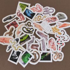 【商品番号S12】　蛇のフレークシール　爬虫類　　ヘビ　　シール　コーンスネーク　パイソン　スネーク
