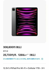 iPad Pro 12.9インチ 第6世代 Wi-Fi ＋ Cellular 1TB メモリ16GB M2 2022年 シムフリー