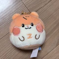 RIIZE(ライズ) ウォンビン(WONBIN) ボイスキーリング トレカ