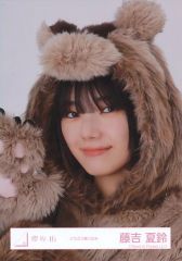 と*む様 櫻坂46 生写真 どうぶつ着ぐるみ 森田ひかる 藤吉夏鈴 他メンバ フ 森田ひかる どうぶつ着ぐるみ 生写真 櫻坂46 - メルカリ