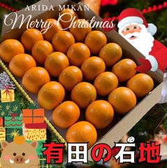 石地みかん　コンパクト　お試し　箱いっぱい