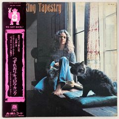 帯付き！国内盤！クラプトン参加！ロジャー・ウォーターズ /ヒッチハイクの賛否両論 帯付き！国内盤！クラプトン参加！ロジャー・ウォーターズ