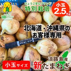 ★らくらくメルカリ便★訳あり小玉中心【あさひ】2.5kg 淡路島産 新たまねぎ 【わせ品種】ひょうご安心ブランド 特別栽培 1年中で今だけ わせ品種訳あり　数量限定　ノークレーム　ノーリターン