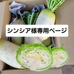 シンシア様専用ページ