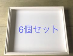 【展翅板プレゼント付き！】標本箱＊オイル仕上げ＊６個セット