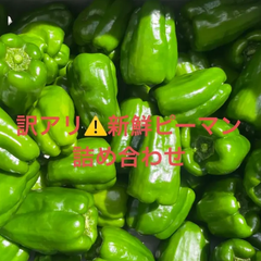訳アリ⚠️新鮮ピーマン