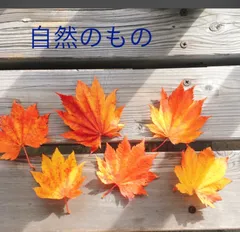 もみじ　紅葉　押し花落ち葉　煉獄さんカラー　ドライフラワー　30枚