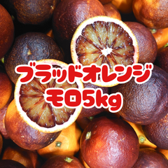 ブラッドオレンジモロ約5kg