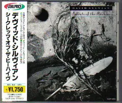 2025年最新】david sylvian japanの人気アイテム - メルカリ