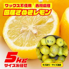 【訳あり】  国産さぬきレモン 約5kg サイズおまかせ ワックス不使用 国産 香川県産　レモン　讃岐　さぬき　果物