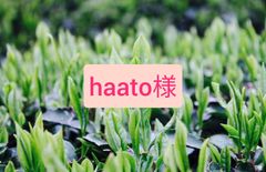 【もて茶って】粉末緑茶(玄米茶)１５０本✕２セット　玄米茶　緑茶
