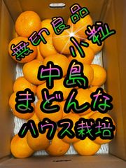 中島まどんな　小玉　無印良品