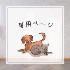 【専用】