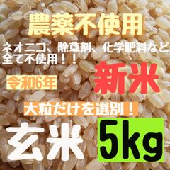 【選別済みの大粒揃い】無農薬  農薬不使用   ヒノヒカリ  玄米  5kg  さくらの玄米