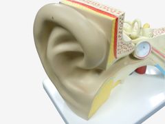 Item thumbnail for item f2f20acb-23e3-4329-b51c-dad19dec6087