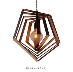 APROZ(アプロス) / BYGZAM（ビグザム） ペンダントライト 新品