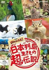 全巻セット【中古】DVD▼グランクレスト戦記(8枚セット)第1話～第24話 最終 レンタル落ち 全巻セット【送料無料】【中古】DVD▽グランクレスト戦記(8枚
