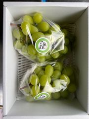 山梨県産 家庭用 シャインマスカット 3パック 箱込み1.2kg ⑱ - メルカリ
