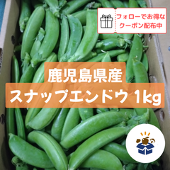 【鹿児島県産】 スナップエンドウ 1kg