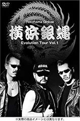 横浜銀蝿 コンプリートBOX「完」ステッカー3枚付き Amazon.co.jp: T.C.R 横浜銀蝿 R.S COMPLETE BOX 完(DVD付