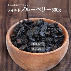 ワイルド ブルーベリー  500g アメリカ産 ドライフルーツ 菓子材料