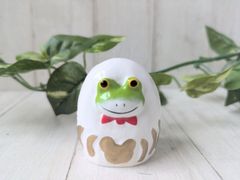 だるまカエル　白