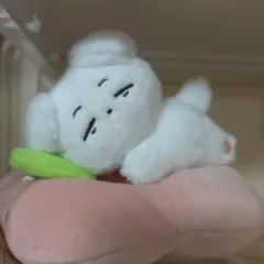 2025年最新】チャンソプ ぬいぐるみの人気アイテム - メルカリ