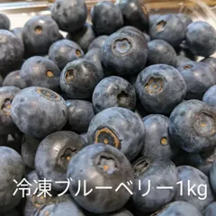 2024年最新】ブルーベリー 冷凍 無農薬 500グラムの人気アイテム  