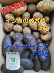 自然栽培　新じゃがいも　　インカのめざめ+シャドークイーン　３kg
