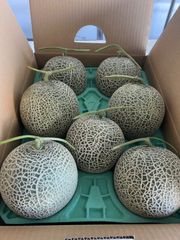 [訳あり品大特価] 北海道産メロン　お得箱(7玉入り)