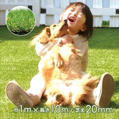 人工芝 ロール diy マット 人工芝生 庭 幅1m 長さ10m ドッグラン ゴルフ サッカー 野球 フットサル ガーデニング リアル 天然風 屋外 防炎 【uni-0001】