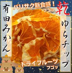 ドライフルーツ　有田みかん