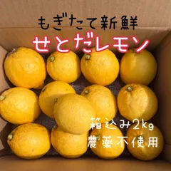 2024年最新】無農薬レモンの人気アイテム - メルカリ