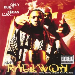 RAEKWON 帯付き国内盤含む11枚セット WU-TANG CLAN
