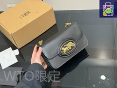 【今日特価】Coach Heor Chain Bag（ヴィンテージデザイン）Stylish Design